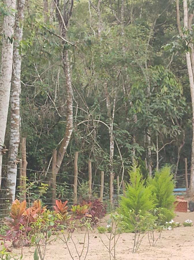 פדרה אזול Casa De Campo Banheira, Lareira E Cachoeira מראה חיצוני תמונה