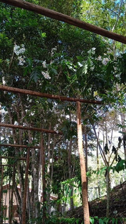 פדרה אזול Casa De Campo Banheira, Lareira E Cachoeira מראה חיצוני תמונה